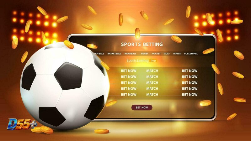 D55 Sports - Exploring The Sportsbook System At D55 Sports