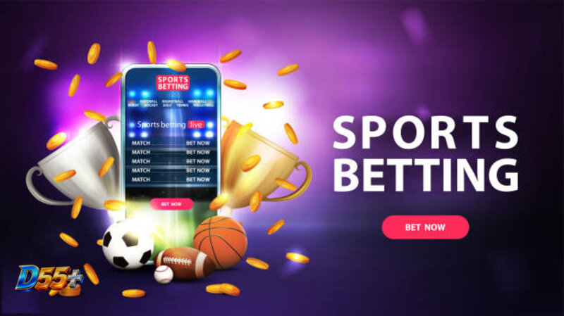 D55 Sports - Sportsbook Lobby And How To Follow Match Schedules