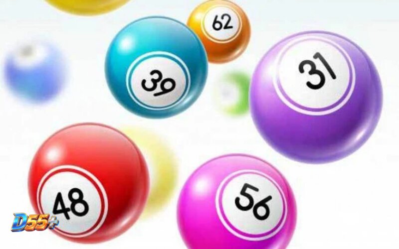 Lottery D55 - Exploring The Online Lottery System At Lottery D55